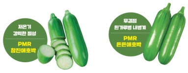 고소득을 원한다면! 튼튼하고 때깔도 좋은 동오시드 호박