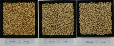 한국농업기술진흥원 맥류 종자 신청 접수