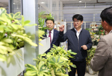 ‘식물-공기청정기’ 국내 확산, 수출에 힘 보탠다