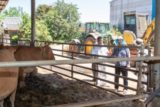 국립축산과학원 연일 침수 피해 현장 찾아 신속 기술지원