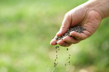 2025년 그리고 다가올 2026년 주목받는 ‘종자’