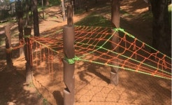 김천 자산공원 유아숲 새단장