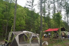 자연휴양림 · 숲속야영장서 텐트 설치 거리두기 하세요