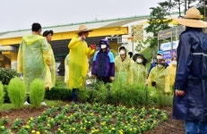 옐로우시티 장성 시민정원사, 시가지 곳곳 아름다운 정원 조성 화제