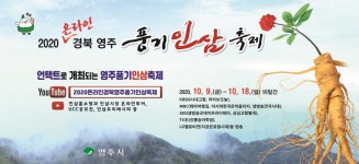 경북 영주 대표 행사 풍기인삼축제 9일 온라인으로 개막