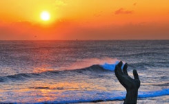 경북 포항시 호미곶해맞이축전 취소, 12월 31일~1월 1일 광장 폐쇄