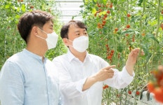 NH농협은행, 창립 60주년 기념 원예 스마트팜 창업 특화 대출상품 출시