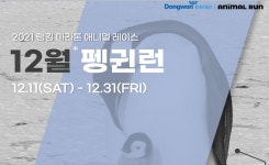 동원F&B-러닝포인트, 멸종 위기 펭귄 위한 기부 마라톤 펭귄런 개최