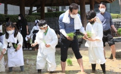 [포토뉴스] 이성희 농협중앙회장, 어린이들과 도심 속 전통 손모내기 재연