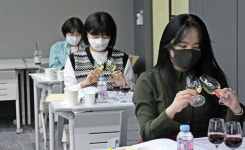 "음료·주류 통합 시너지 확보" 롯데칠성음료 임직원, 소믈리에 자격증 획득