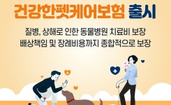 현대해상, 보장금액 현실화 건강한펫케어보험 출시