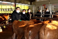 주낙영 경주시장 가축시장 방문... 지역 한우산업 발전에 힘쓰겠다