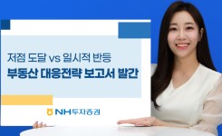 NH투자證, 1·3대책 이후 부동산 대응 전략 보고서 발간