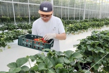 전남도, 스마트 청년농업인 1만 명 육성 속도