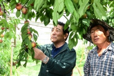 김충섭 김천시장, 지역 영농현장 찾아 농업인들과 적극 소통