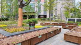 양주시, 아파트 쌈지텃밭 조성 사업 대상자 추가모집