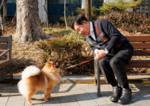 마포구, 우리동네 동물병원 사업 시행