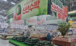 농협 하나로마트, 농산물 소비촉진 특별할인행사 실시