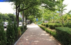 인천 계양구, 봉오대로 도시바람길숲 조성 완료