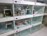 파주시, 반려동물 영업장 347곳 운영실태 점검