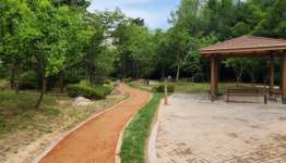 용인특례시, 기흥구 영덕레스피아에 어싱길 조성