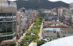목포시 하당 신도심 2024년 아름다운 도시숲 50선 쾌거
