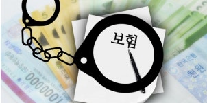 금감원 보험사기 피해 고지 기한 30일에서 15일로 단축