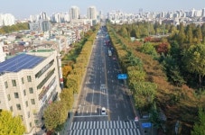 부평구, 길주로 양버즘나무길 등 특화가로 조성사업 완료