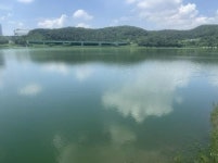 용인특례시, 기흥저수지 녹조 예방 위한 선제적 대응 나서
