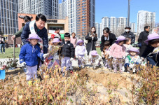 부평구, 제80회 식목일 맞아 나무심기 행사 개최