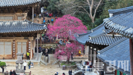 '화엄사의 찬란한 역사·문화 가치 조명'... 25일 학술대회 개최