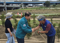 구리시, 집중호우 피해 왕숙천 둔치 신속 복구 완료