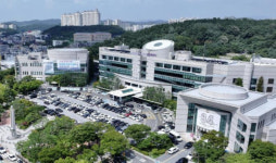 화성특례시, 소비쿠폰 부정유통 집중 단속…건전 사용 문화 조성