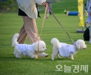  반려견과 함께 달린다… 순천서 2025 댕댕순천 25일 개최