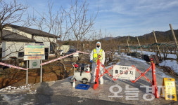 나주 양돈농장서 ASF 확진…전남도, 긴급 방역 총력