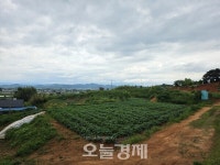 [단독] 장성 진원면 그린벨트 보전산지 훼손 심각…군 이번 주 내 시정명령