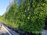 수원시 그린커튼, 전국으로 확산된다