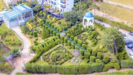 안면도 지중해아침펜션 핑크뮬리와 함께 인생샷 찍고 가세요