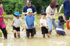 수원시, 시민에 힐링 선물을…녹색환경 조성에 팔 걷어