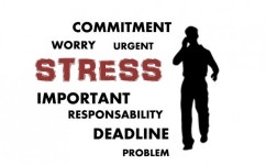 [특별기고] 모든 아이들을 위한 인공지능, 똑똑 수학 탐험대를 말한다