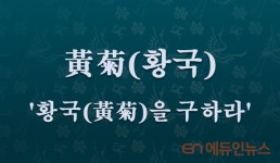 [전광진의 하루한자] 黃菊(황국)