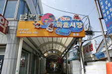 [여행]등대골목, 서핑, 폭포계곡의 하모니 동해