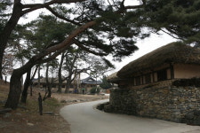 [여행] 꽃과 숲, 고택 사이를 거닐다, 아산의 봄