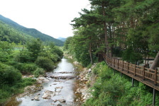 [여행] 벼랑 위에서 낙동강을 조망하다, 상주