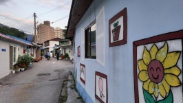 [여행] 야생화 흐드러진 천상의 화원, 정선 만항재