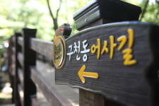 [여행] 절경 계곡 품은 사색의 길, 무주 구천동어사길