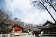 [여행] 수양벚꽃 흩날리는 뜻 깊은 봄길, 서울현충원 꽃길