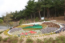 [여행] 산책과 재미 깃든 도심 속 녹색 놀이터, 울산대공원