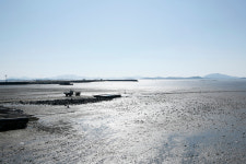 [여행] 순천만에 기댄 훈훈한 골목들, 순천 한옥마을