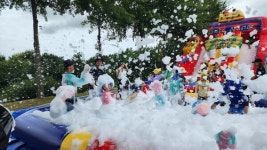 서산버드랜드, 여름방학 특별프로그램 운영